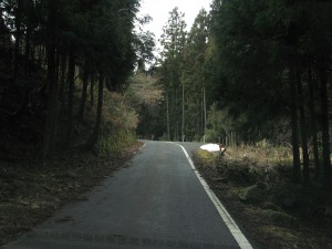 国道429青垣峠への道