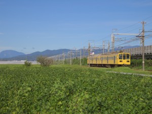 近江鉄道の黄色い電車と伊吹山
