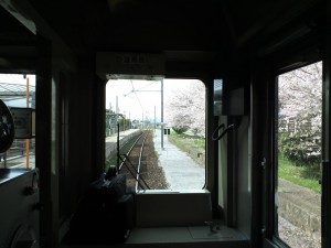 青野ヶ原駅と桜