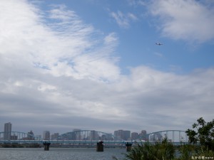 淀川から見る大阪都心とJAL機