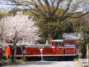 桜と西濃DE10